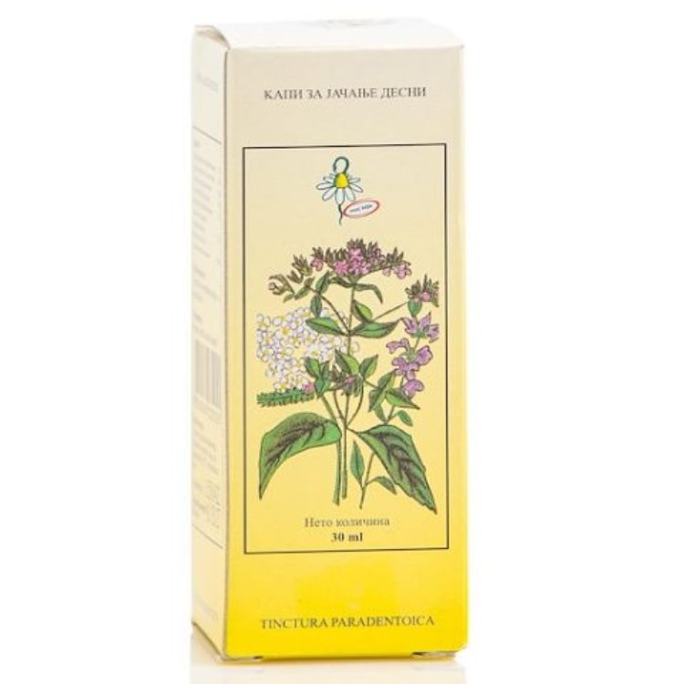 PANČIĆ kapi za JAČANJE DESNI 30mL - Paradentoica tinctura