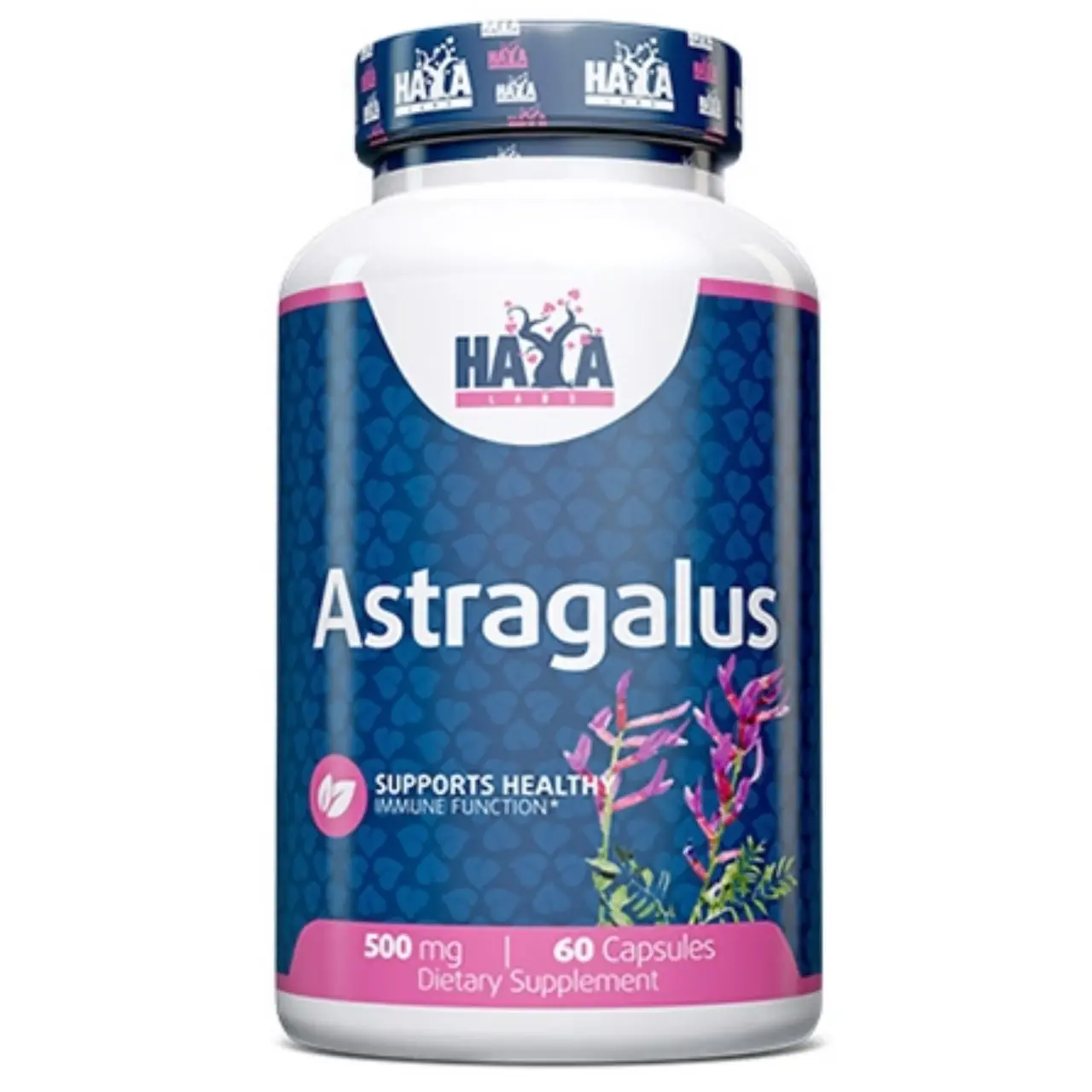 HAYA LABS ASTRAGALUS 60X500MG