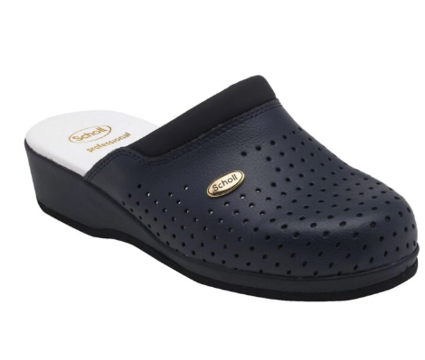 SCHOL CLOG BACK GUARD BR 39