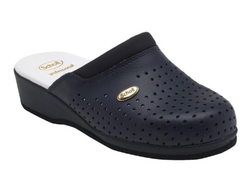 SCHOL CLOG BACK GUARD BR 42