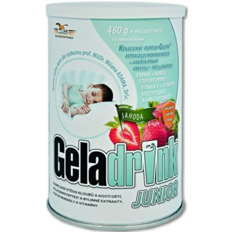 GELADRINK JUNIOR PLV 480G