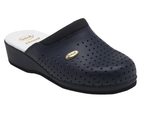 SCHOL CLOG BACK GUARD BR 43